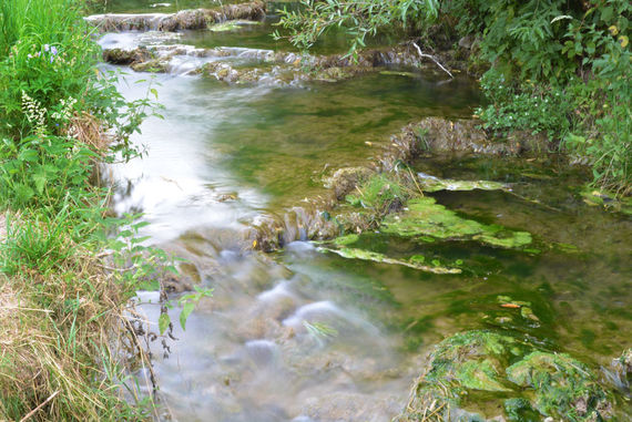 Medioambiente